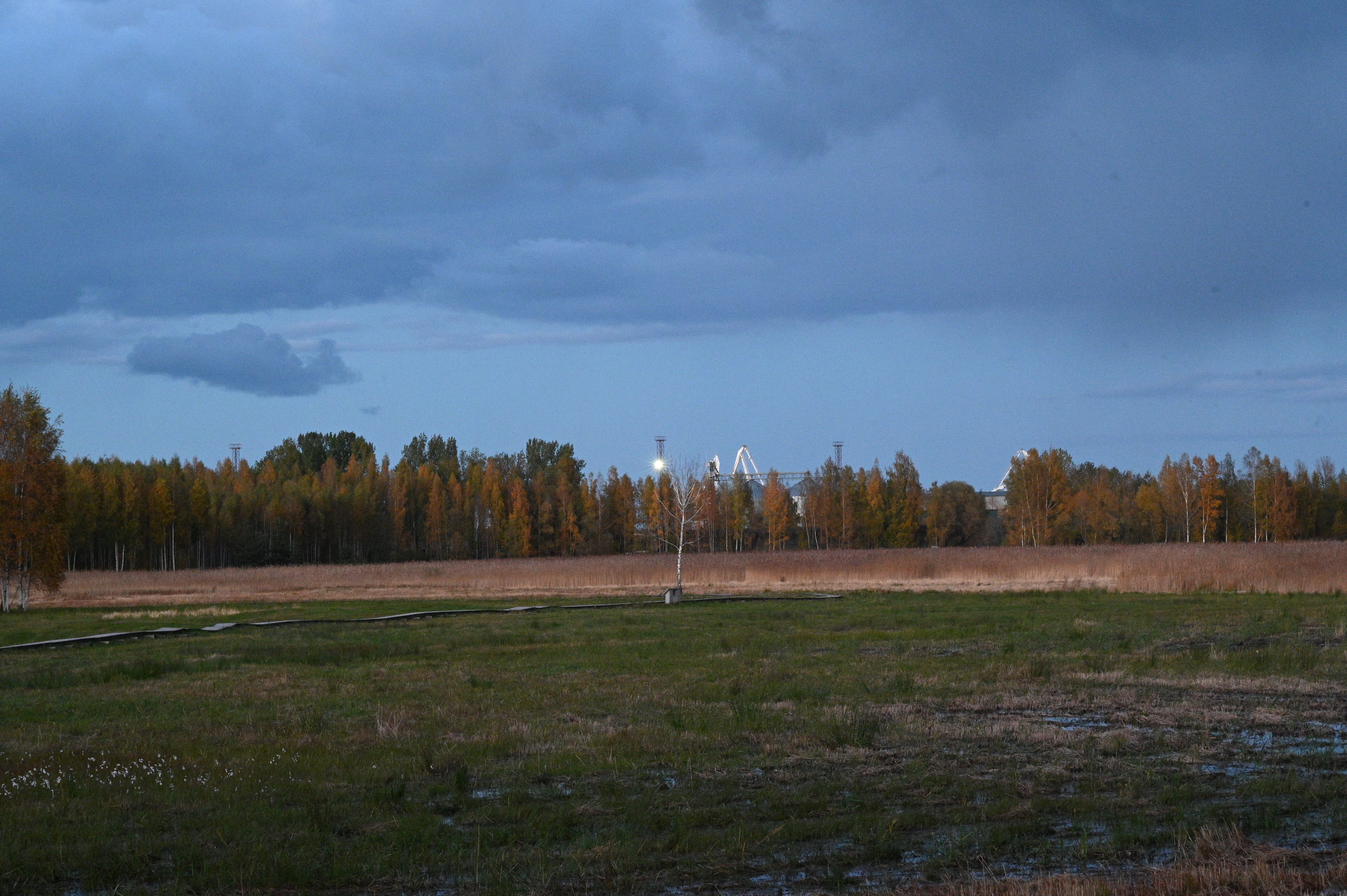 2025/10/18 - walk/DSC_0606.JPG